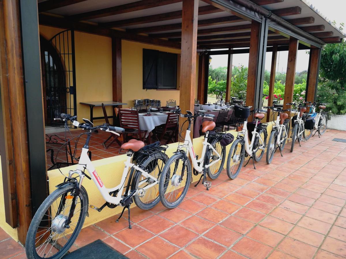 Hotel Rural Cal Ruget Vilobi Del Penedes Ngoại thất bức ảnh