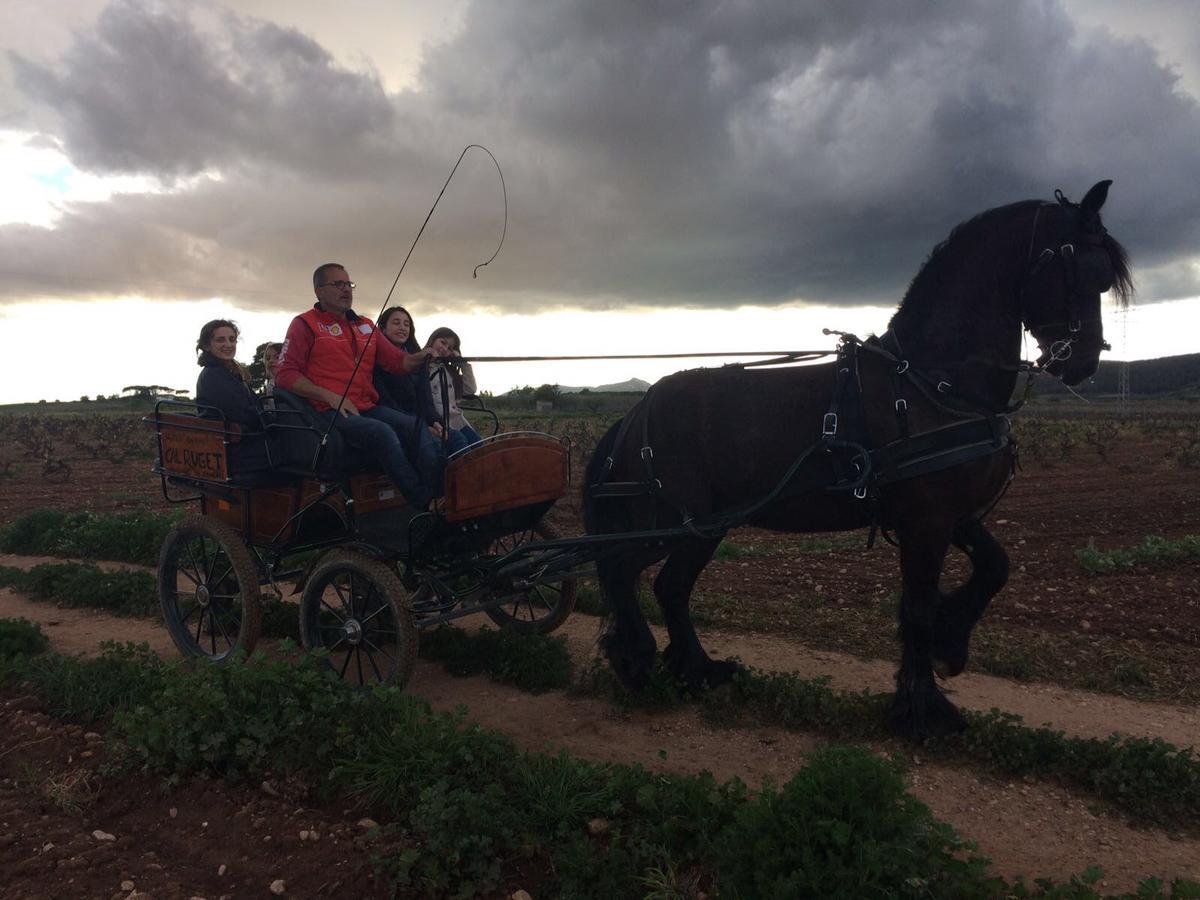Hotel Rural Cal Ruget Vilobi Del Penedes Ngoại thất bức ảnh