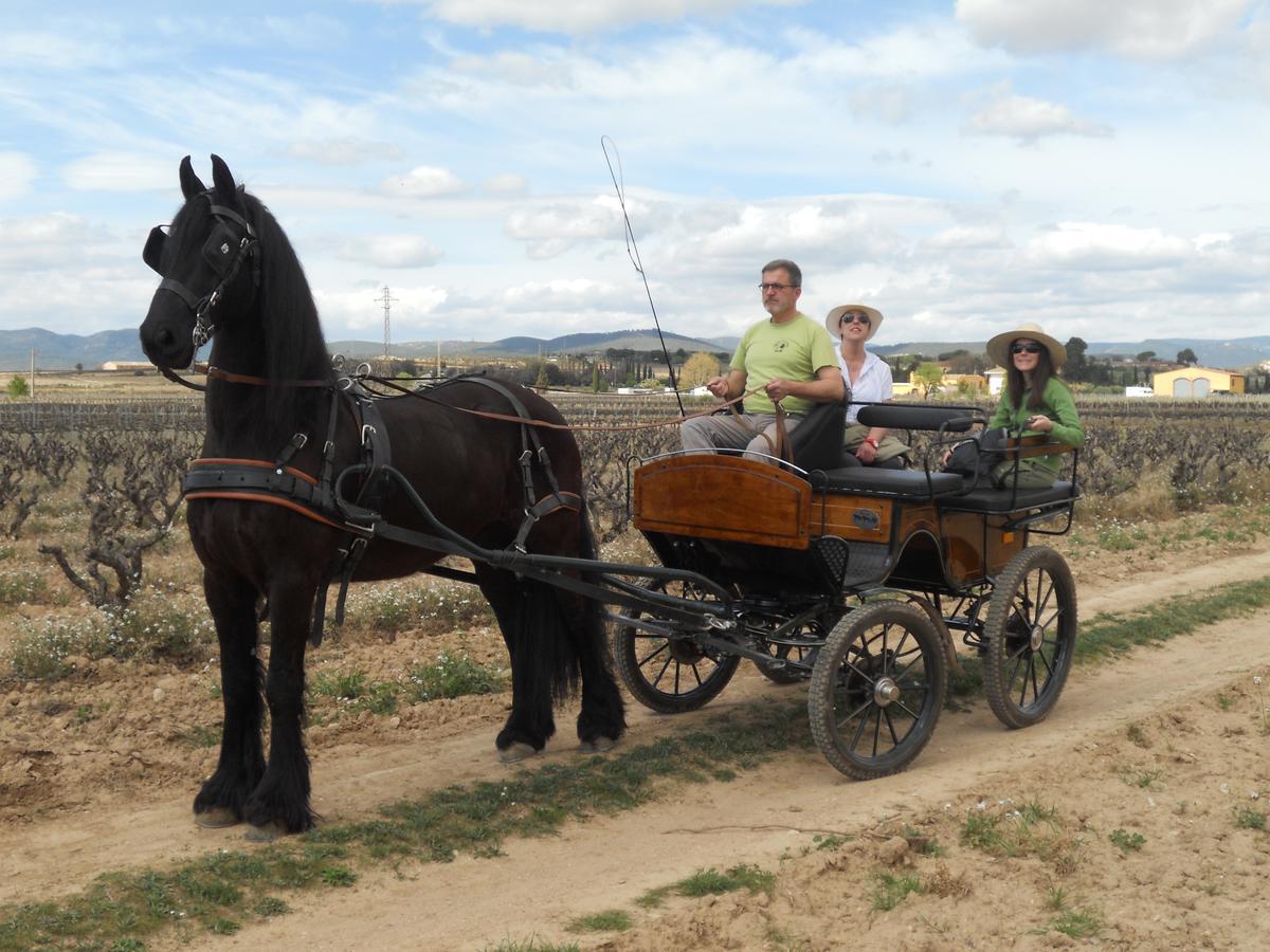 Hotel Rural Cal Ruget Vilobi Del Penedes Ngoại thất bức ảnh